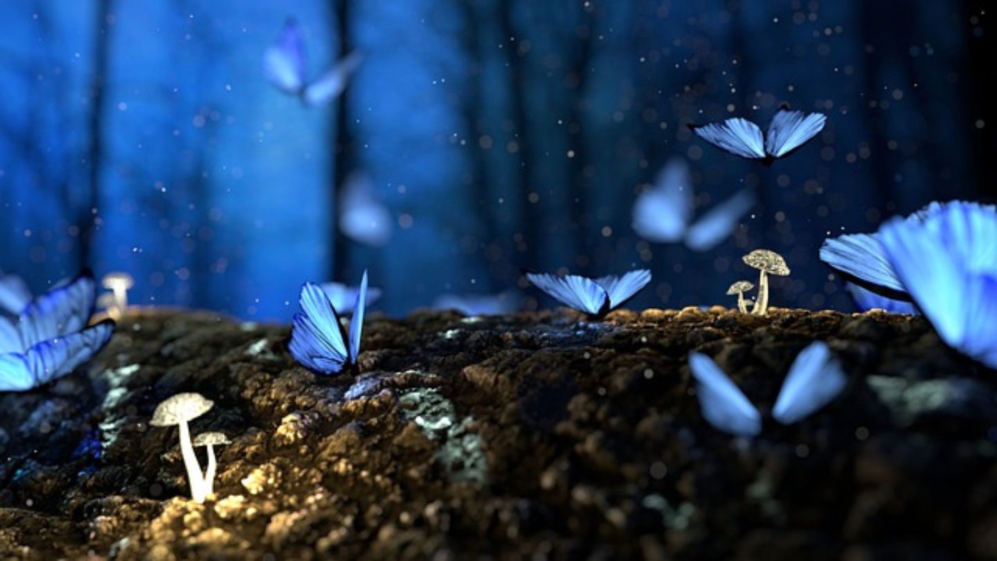 Les quatre cérémonies ECK